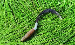 Sickle